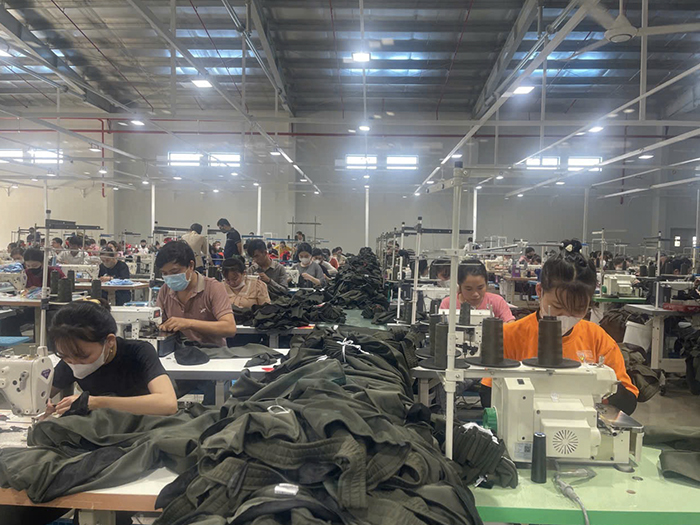 Sewing Lines