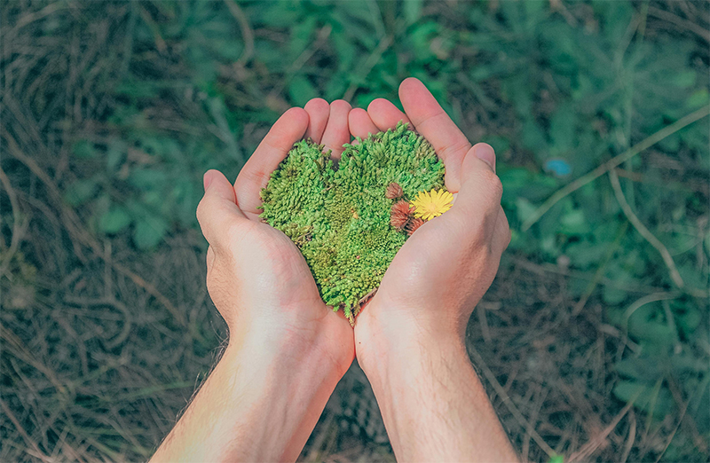 OUR COMMITMENT TO SUSTAINABILITY